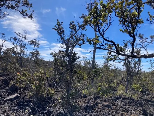ANUENUE DR, Ocean View, HI 96737