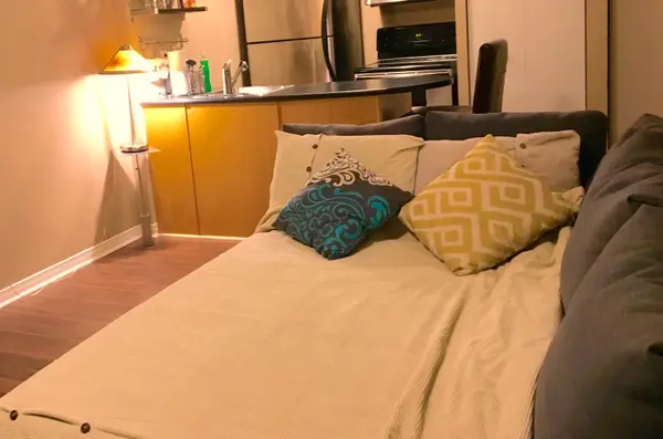 46 EAST LIBERTY ST #521, Toronto C01, ON M6K 3P2