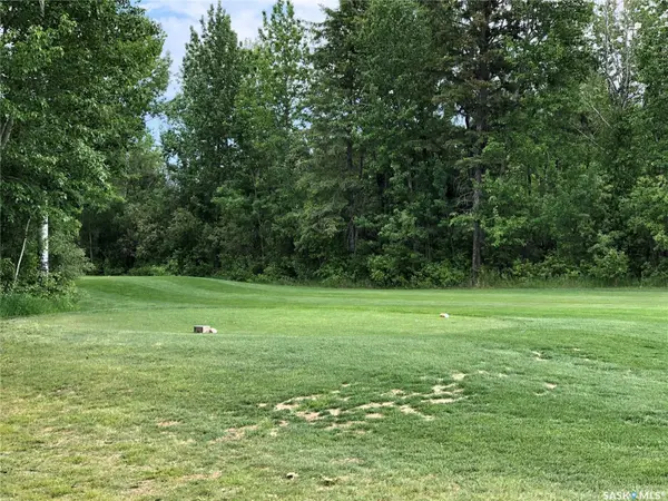 1 Northern Meadows CRESCENT, Goodsoil, SK S0M 1A0