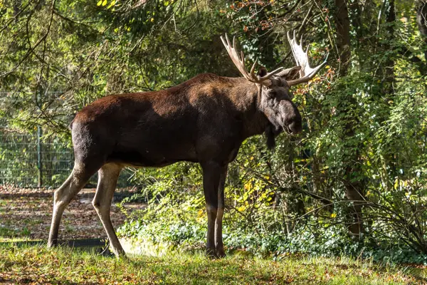 LOT 4 Prevost RD, French River, ON P0M 2N0