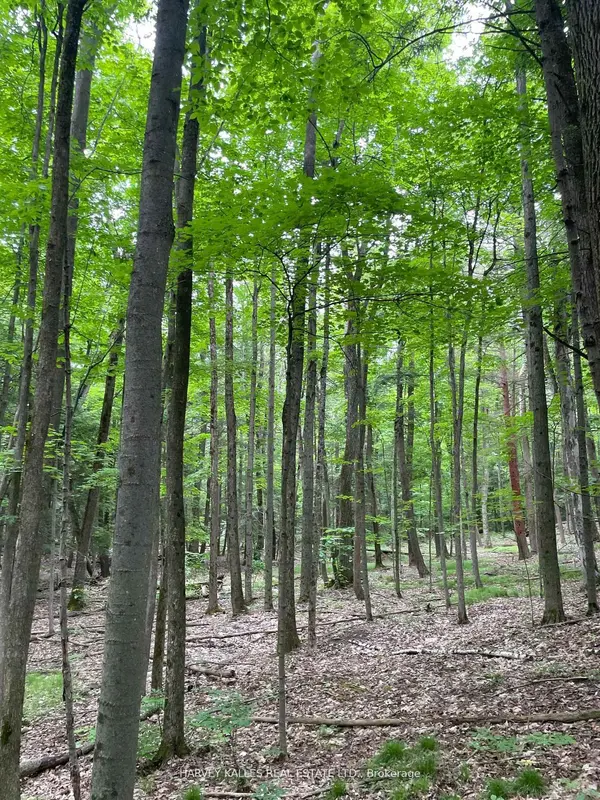 79 Gummow RD, Trent Hills, ON K0K 3K0