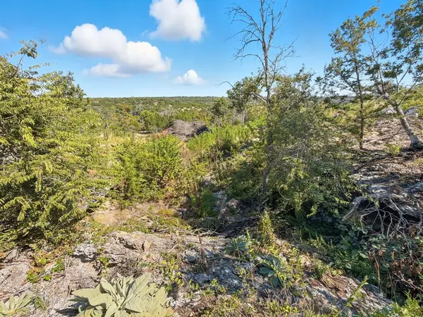 TBD FM 2414 - Tract 2, Evant, TX 76525