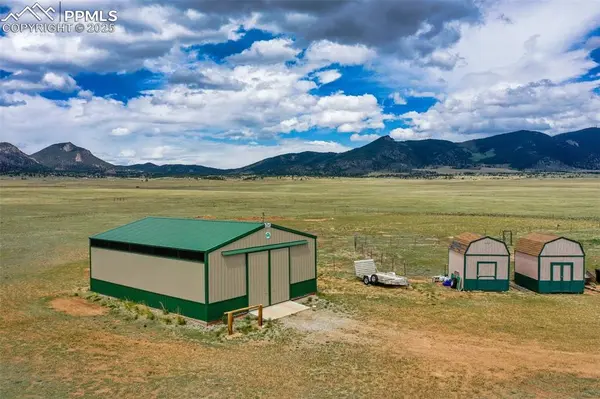 463 Snowshoe LN, Lake George, CO 80827