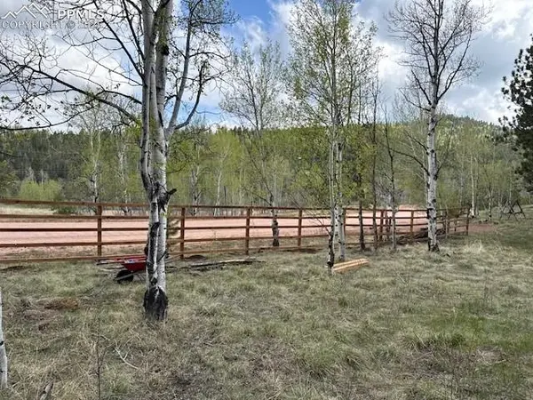 21 County Road 403, Guffey, CO 80820