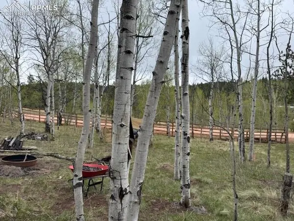 21 County Road 403, Guffey, CO 80820