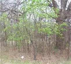 164 Sioux Drive, Gordonville, TX 76245