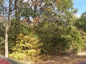 164 Sioux Drive, Gordonville, TX 76245