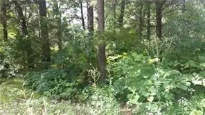 164 Sioux Drive, Gordonville, TX 76245