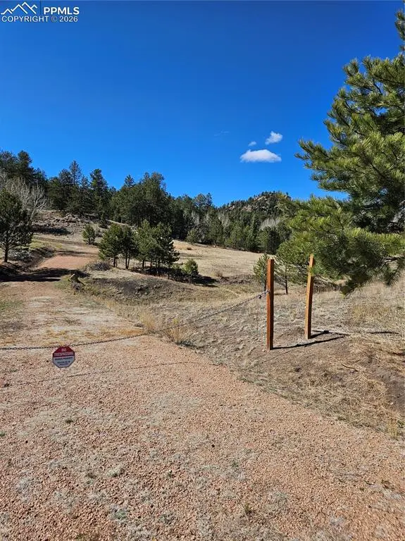 717 Canyon DR, Florissant, CO 80816