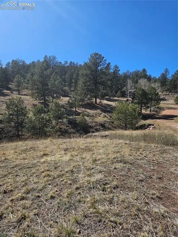 717 Canyon DR, Florissant, CO 80816