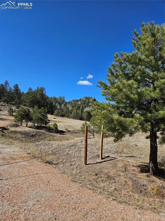 717 Canyon DR, Florissant, CO 80816