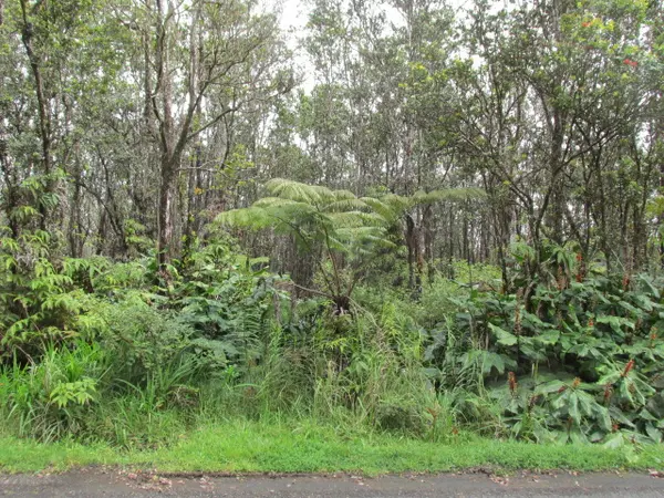 11-3086 PUOLANI ST, Volcano, HI 96785