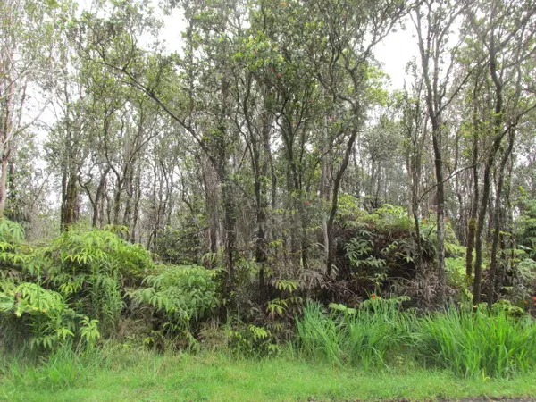 11-3088 PUOLANI ST, Volcano, HI 96785