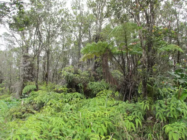 11-3088 PUOLANI ST, Volcano, HI 96785