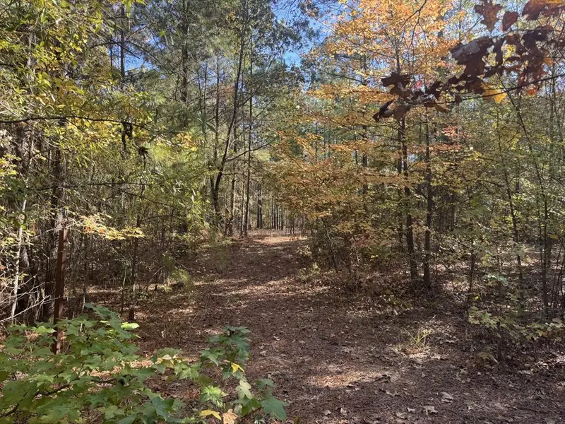 000 CR 2451, Clarksville, TX 75426