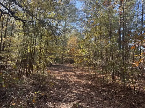 000 CR 2451, Clarksville, TX 75426