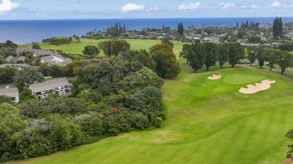 5301 KA HAKU RD #101, Princeville, HI 96722