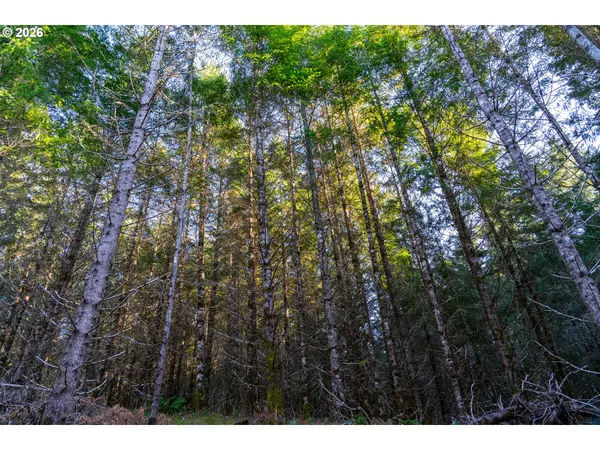 Liberty RD #TL100, Dallas, OR 97338