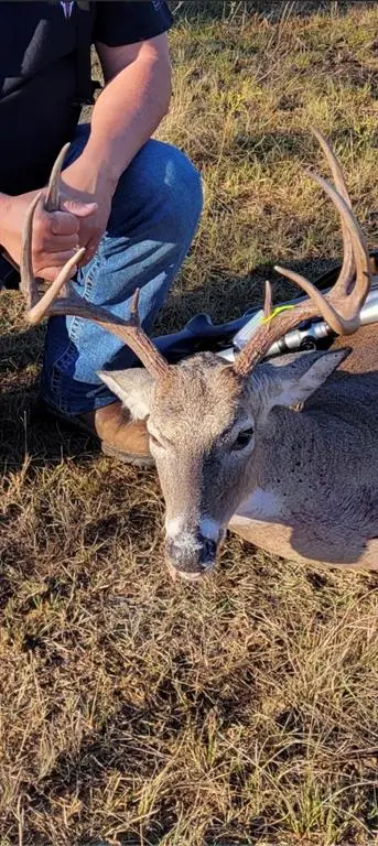 794 W Antelope Road #1, Jacksboro, TX 76389