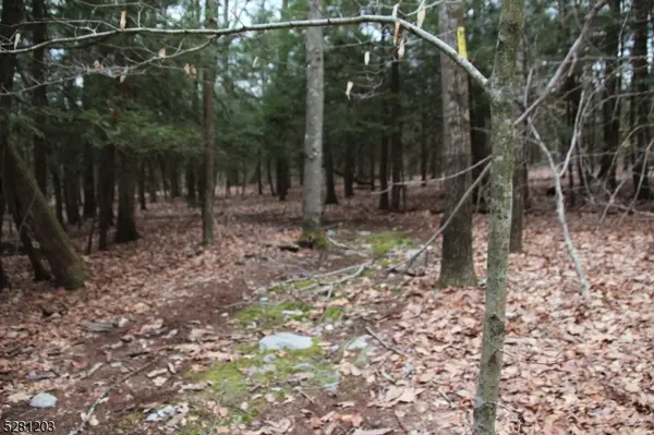 0 Mount Benevolence Rd, Stillwater Twp., NJ 07860