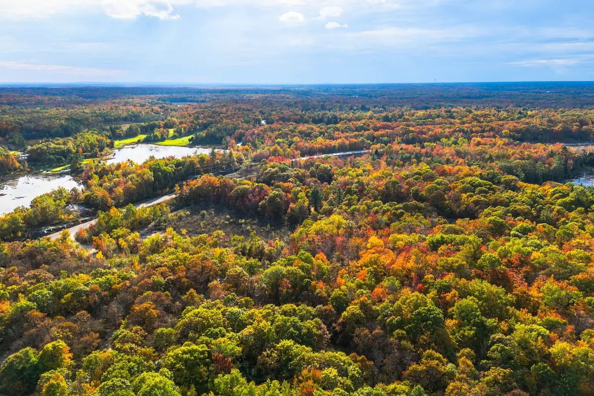 4768 Muskoka 169 RD, Muskoka Lakes, ON P0B 1J0