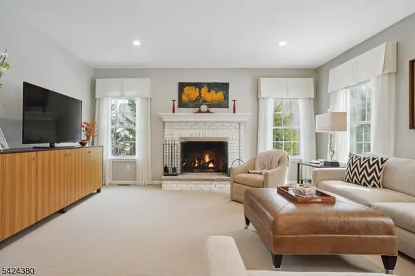 13 Obrien Ct, Bedminster Twp., NJ 07921