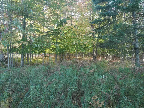 XXX W Birch Shores DR, Trout Lake Twp, MI 49793