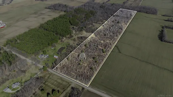 VL Mortimer Line RD, Worth Twp, MI 48422