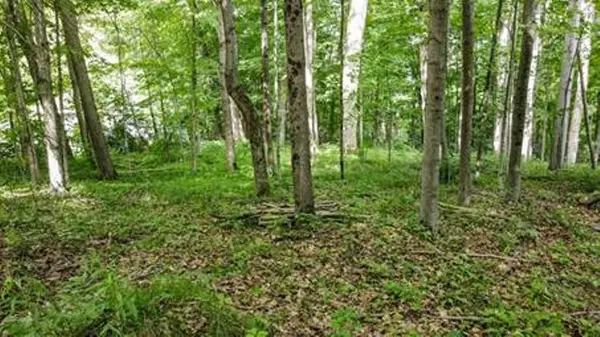 7 Fern LN, Essa, ON L0M 1T0