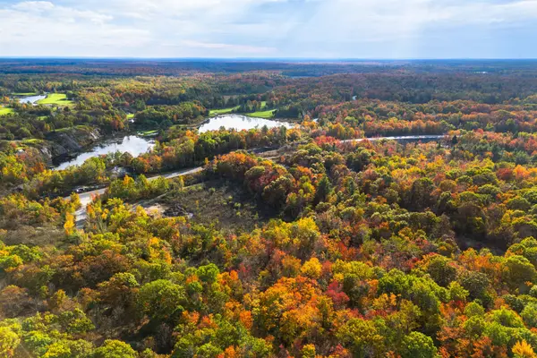 4768 Muskoka 169 RD, Muskoka Lakes, ON P0B 1J0