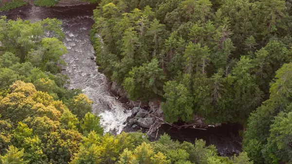 1401 Coopers Falls RD, Ramara, ON L0K 2B0