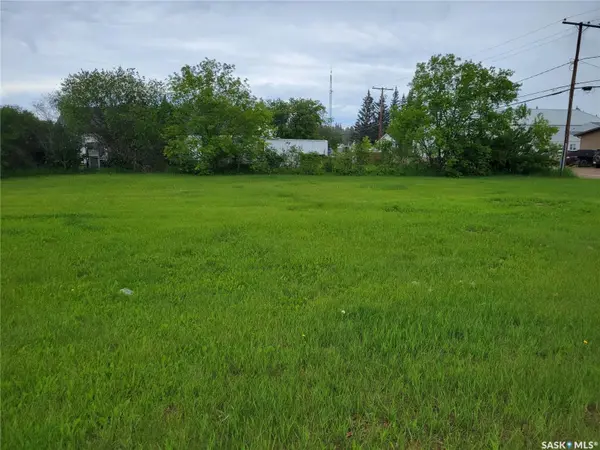 172 & 174 1st STREET W, Pierceland, SK S0M 2K0