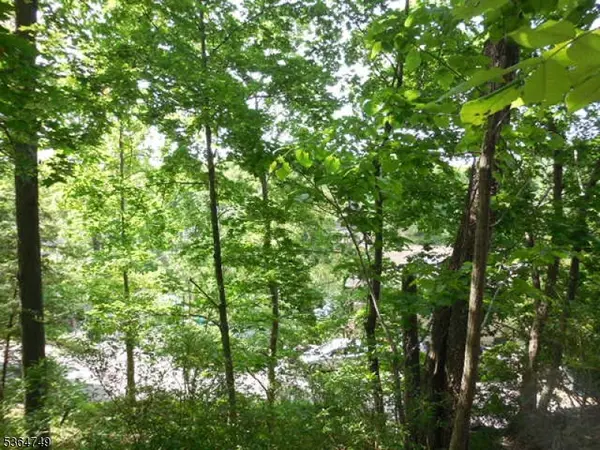 45 Buena Vista Way, Bloomingdale Boro, NJ 07403