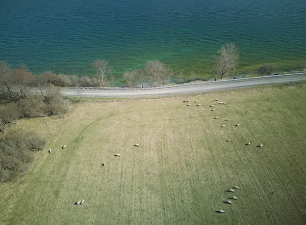 LOT 17 SOUTH SHORE RD, Frontenac Islands, ON K0H 2S0