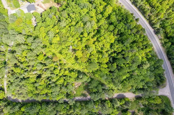 00 Johnson RD, North Kawartha, ON K0L 1A0