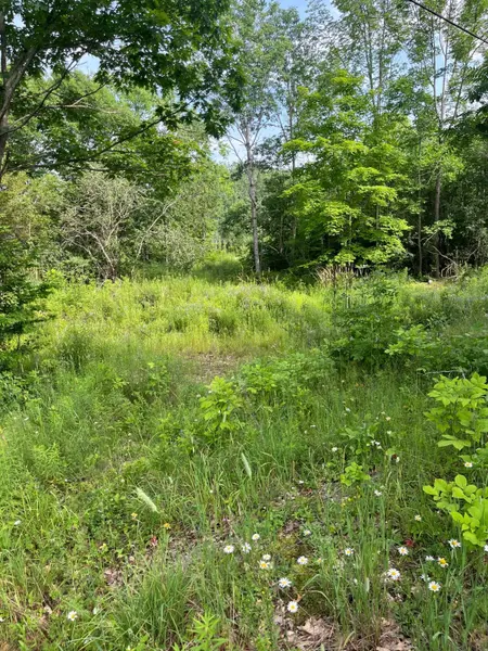 0 Pt Lt 14 Con 3 N/A, Rideau Lakes, ON K0G 1X0