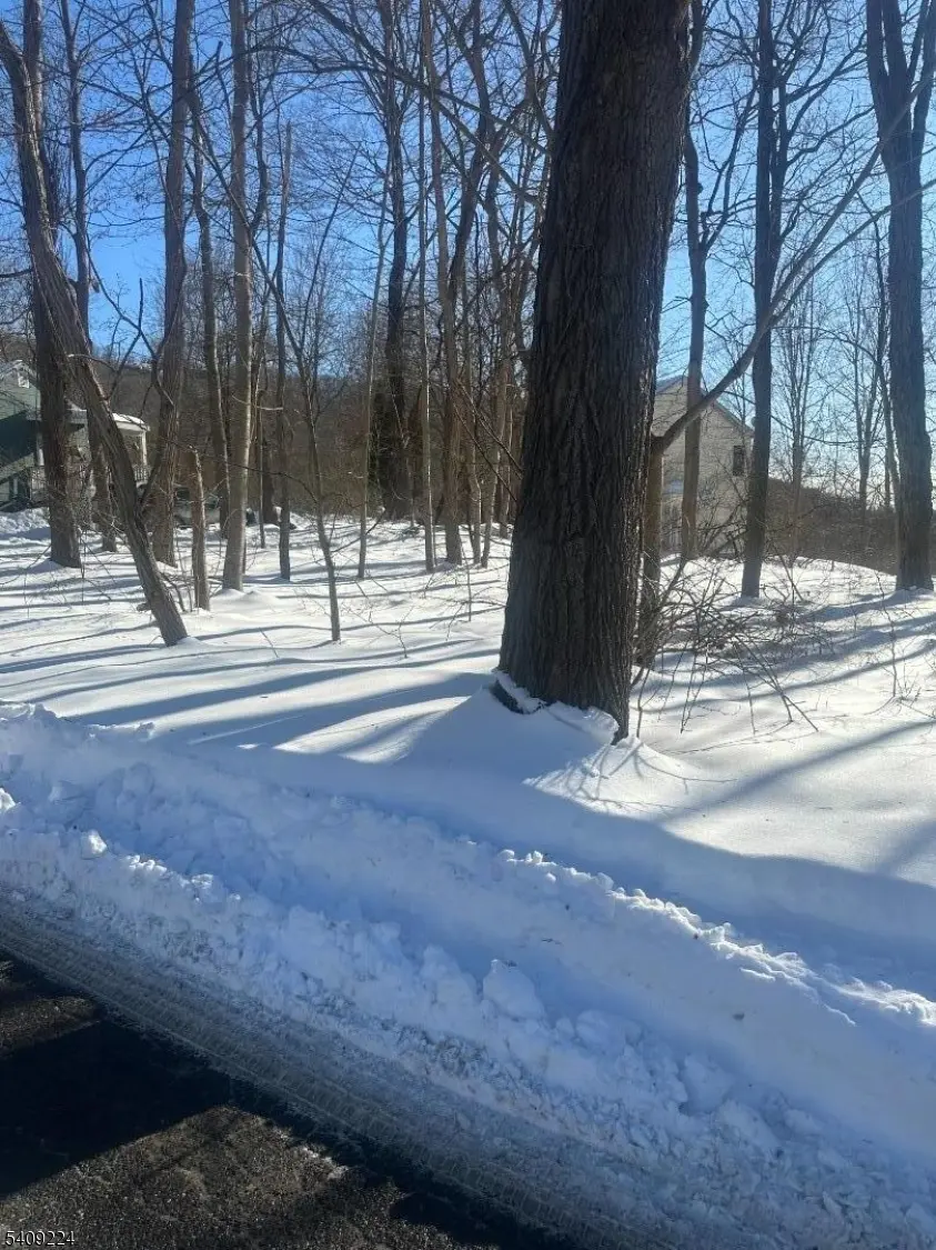 2 Pine Dr, Liberty Twp., NJ 07823