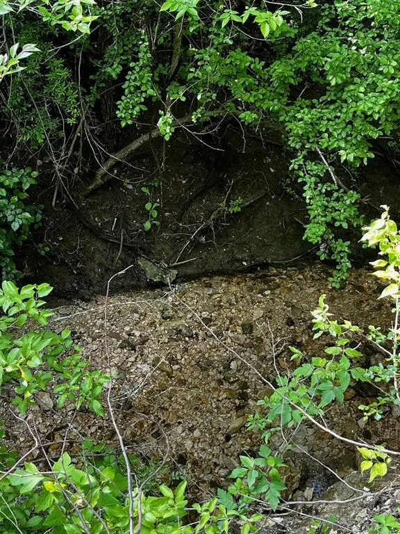 2200 Bear Creek Road, Cedar Hill, TX 75104