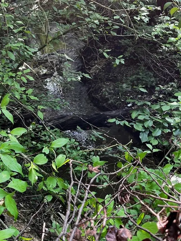 2200 Bear Creek Road, Cedar Hill, TX 75104