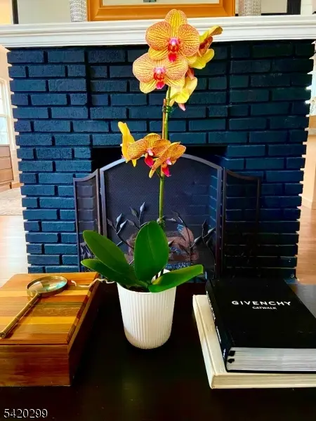 3 Laurel Pl, Glen Ridge Boro Twp., NJ 07028