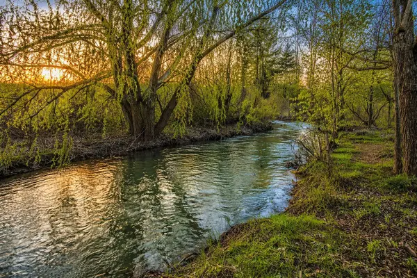 795853 Grey 19 RD, Collingwood, ON L9Y 3Y9