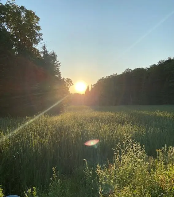 Part 1 Highway 118 N/A, Highlands East, ON K0L 2Y0