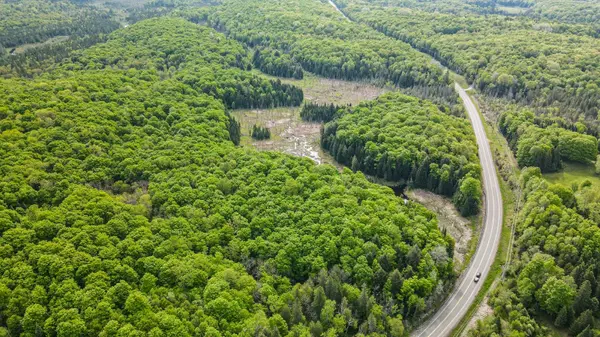 Part 1 Highway 118 N/A, Highlands East, ON K0L 2Y0