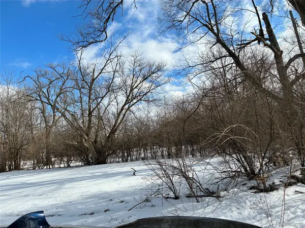 19463 Troy pl, Detroit, MI 48203