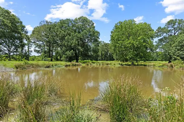 0000 County Road 4427, Avery, TX 75554