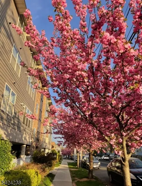 594-596 Jefferson Ave #203, Elizabeth City, NJ 07201