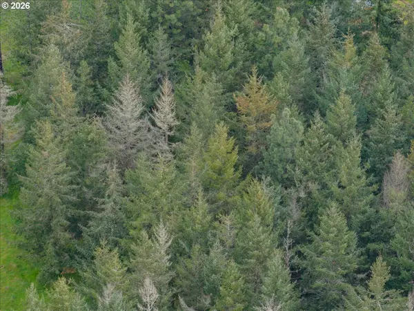 38381 CRAWFORDSVILLE DR, Sweet Home, OR 97386