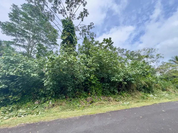 NENUE ST, Pahoa, HI 96778