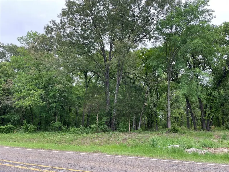 TBD Valle Vista Road, Athens, TX 75751