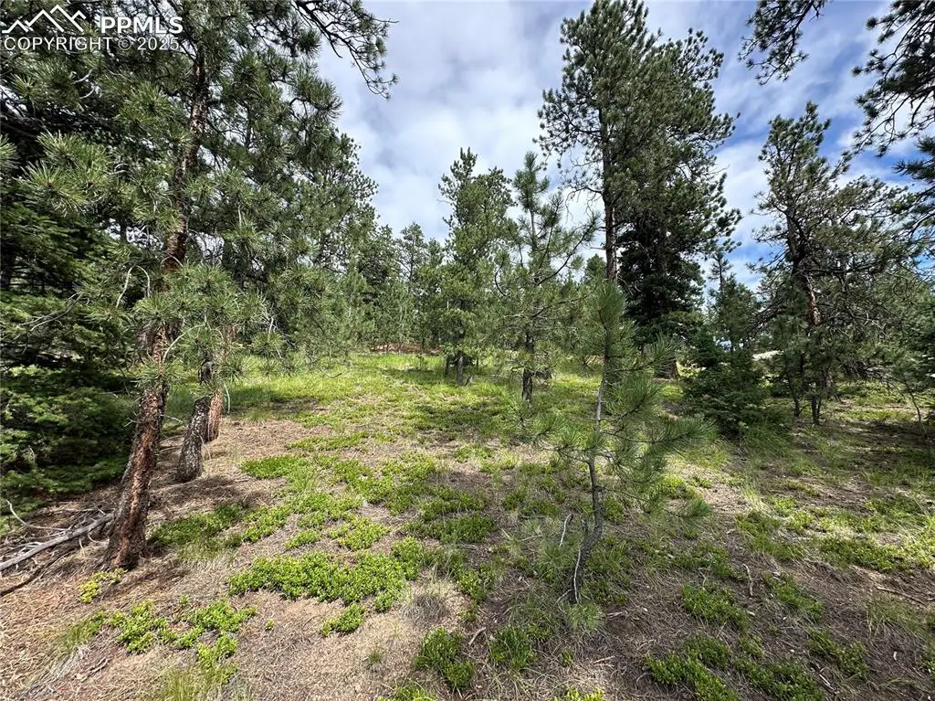 116 Happy Valley RD, Manitou Springs, CO 80829